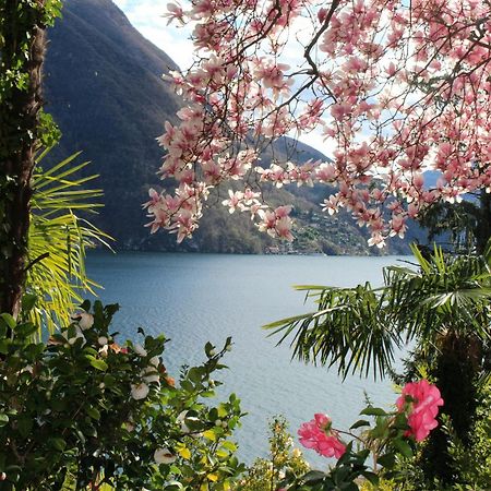 Barony Olive 2 Personen Mit Hund Apartment Lugano Exterior foto